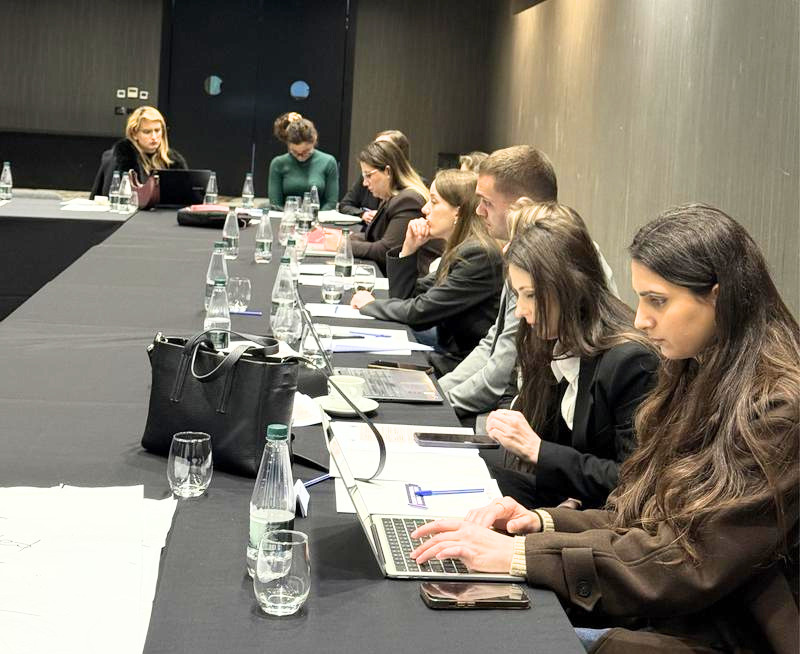 Workshop delegates sat at a long table, focusing on their laptops